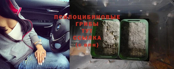 ПСИЛОЦИБИНОВЫЕ ГРИБЫ Алексин