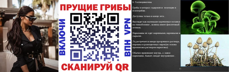 Псилоцибиновые грибы Psilocybine cubensis как найти МЕГА Суджа